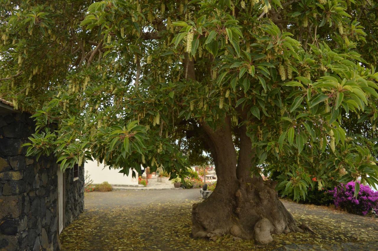 Casona Rural Los Melindros Лос-Кемадос Экстерьер фото